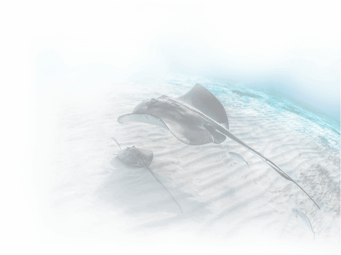 Talon Sport Fishing