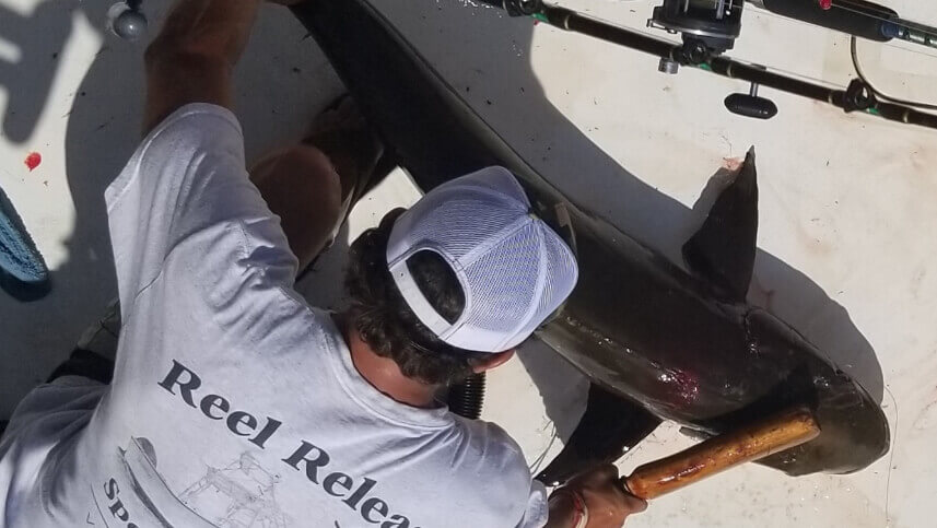 Talon Sport Fishing