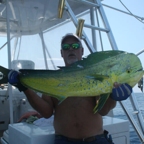 Talon Sport Fishing